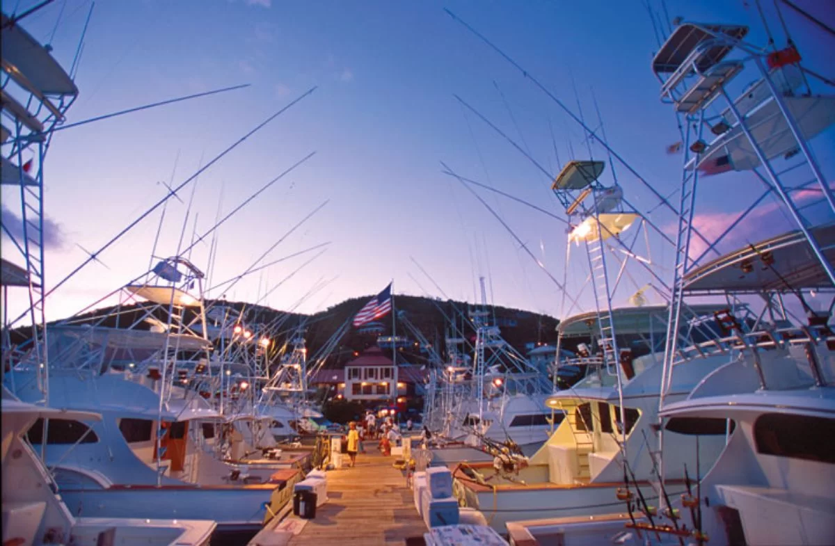 01-American Yacht Harbor-St Thomas Marina -Bateaux de pêche