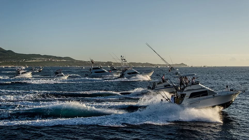 Marina Cabo San Lucas - Marina du Mexique - pêche sportive pêche sportive