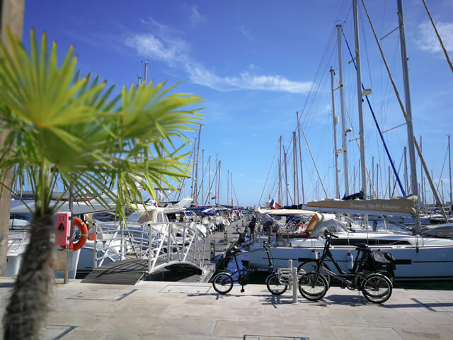 IGY-Vieux-Port-de-Cannes---Barcos de vela en la marina